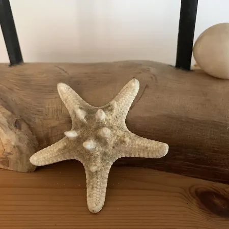 Haus Luettje Huus An't Diek Holiday home Krummhoern